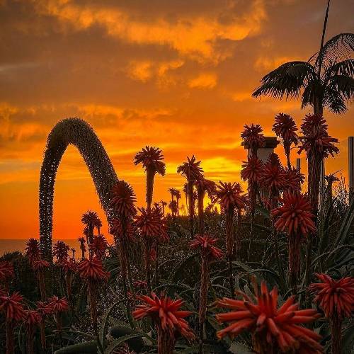 نشسته بود رو درختِ قلبم نمیدونم چی شد یهو سنگش زدم